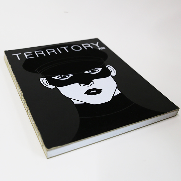 softcover  book